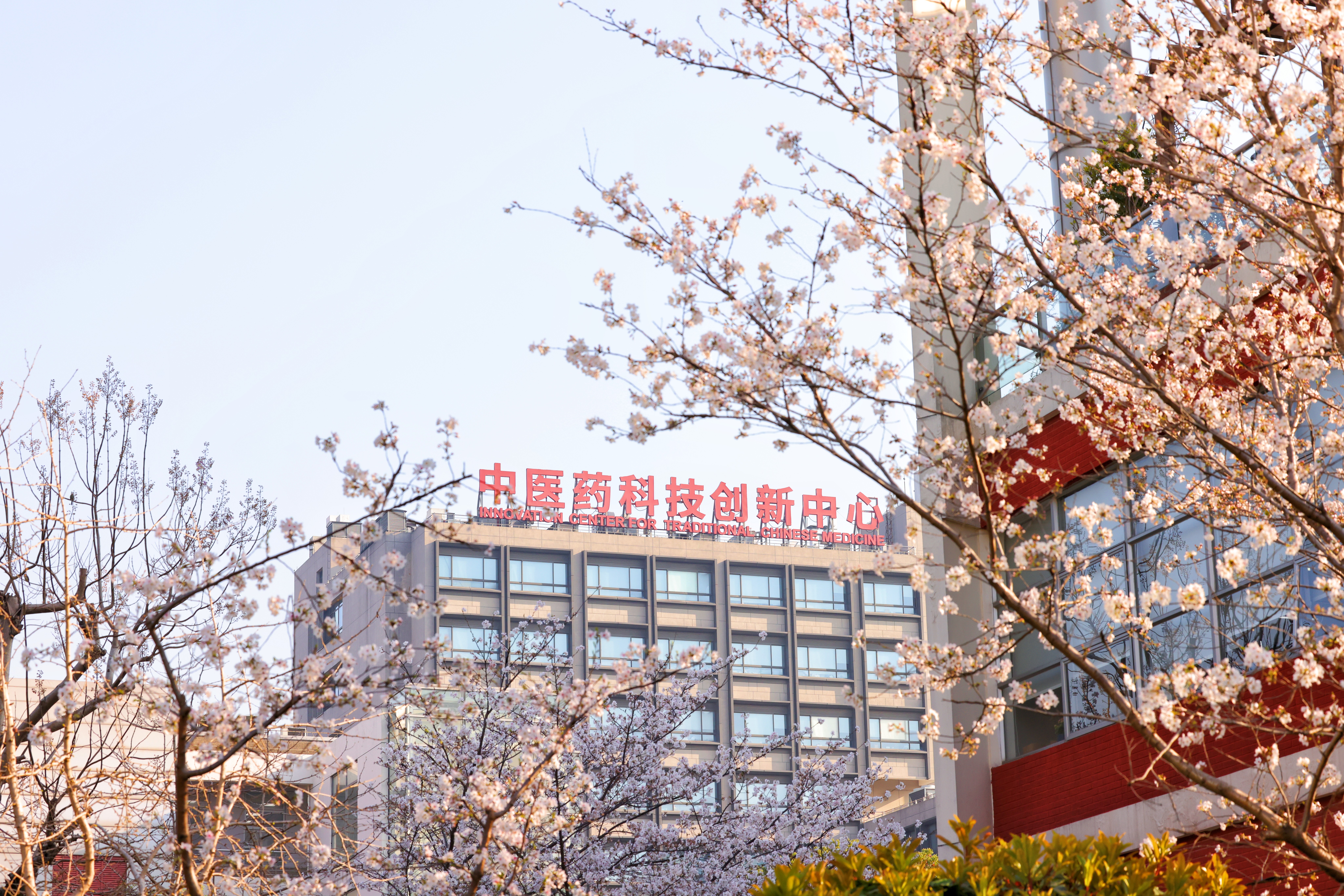 校园风景